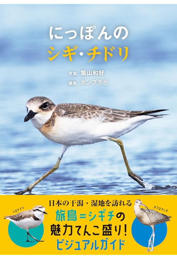 BIRDER（バーダー）2024年4月号 徹底解説！基本12種＋チャレンジ4種